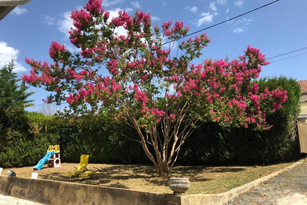 Au Lilas Rose Maison Entre Campagne Et Village Belvès Eksteriør billede
