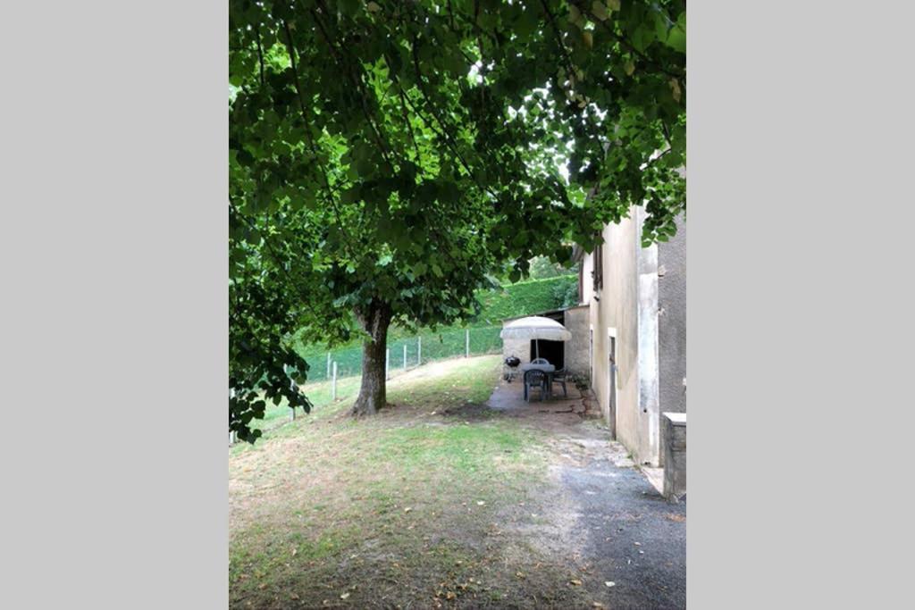 Au Lilas Rose Maison Entre Campagne Et Village Belvès Eksteriør billede
