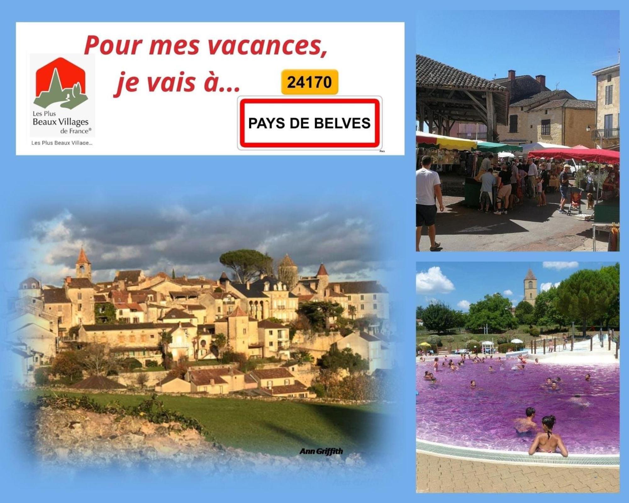Au Lilas Rose Maison Entre Campagne Et Village Belvès Eksteriør billede